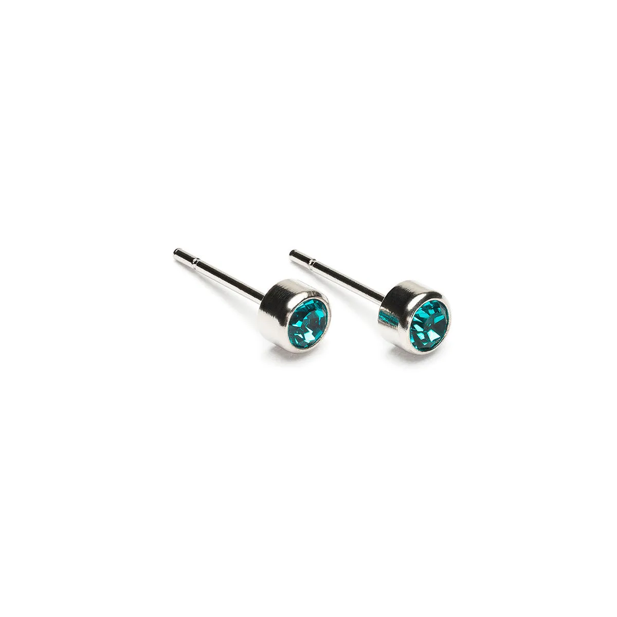 December Birthstone Stainless Steel Earrings