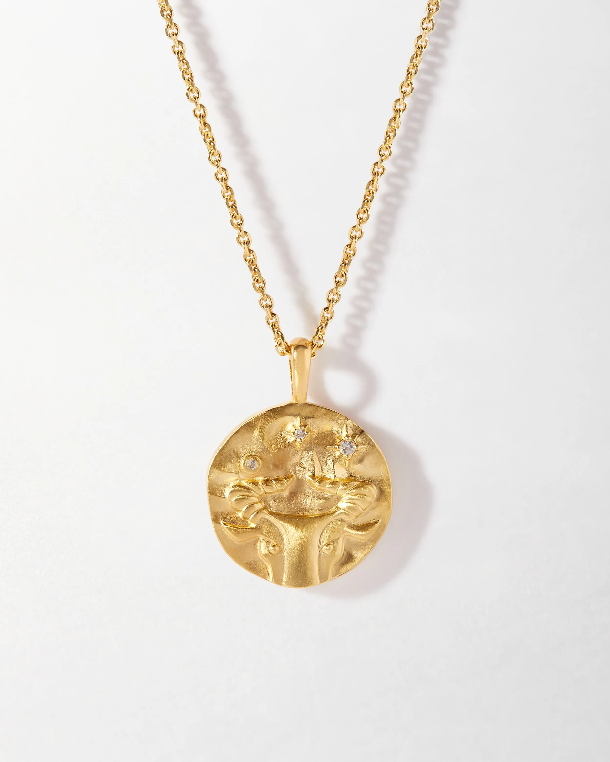 Taurus Zodiac Necklace